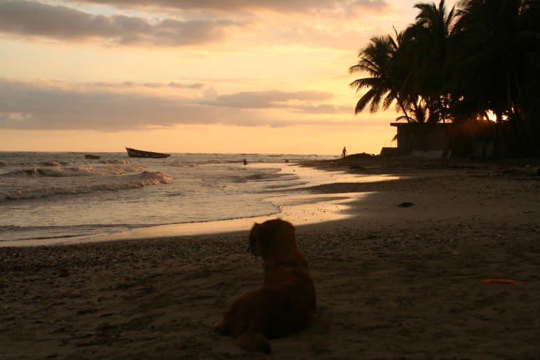 6. Jacmel sunset